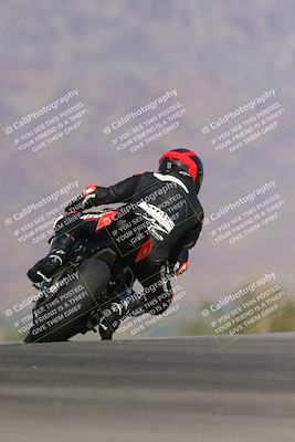 media/Nov-12-2023-SoCal Trackdays (Sun) [[5d1fba4e7d]]/Turn 9 Backside (1015am)/